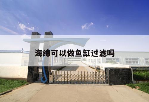 海綿可以做魚缸過(guò)濾嗎